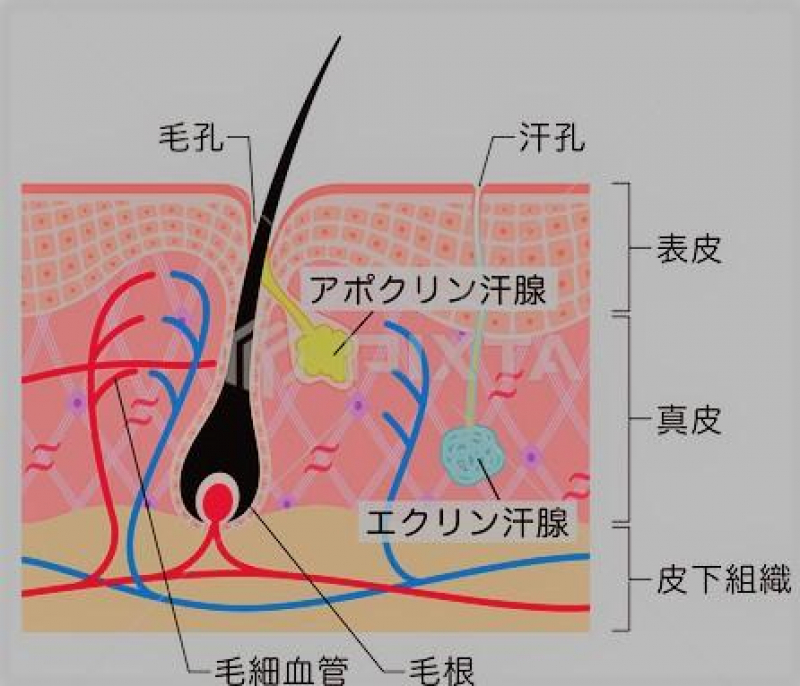 抜け毛で気になる頭皮ケアの仕方